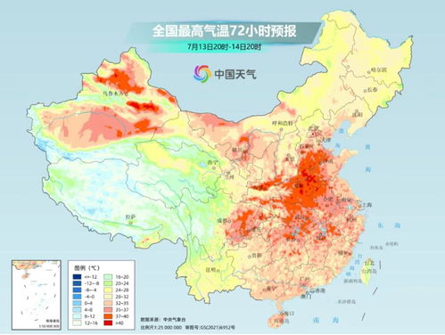 高温晒背2小时67岁阿姨竟开颅保命