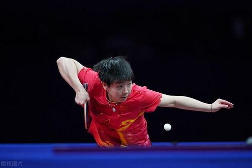 要求孙颖莎对手“懂点事”郭焱道歉