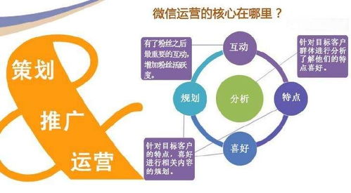 贸易保护原则是指什么
