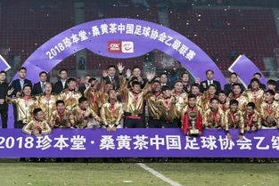 罗马仕员工:5个老板失联全跑东南亚