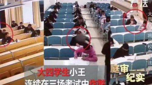 律师分析女大学生出轨外国人被开除