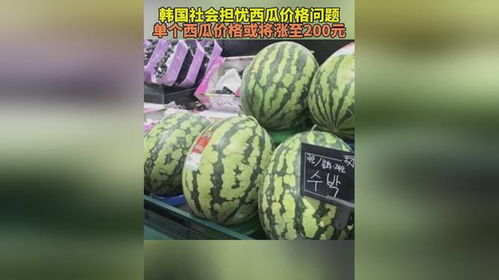 韩国一个西瓜涨到156元