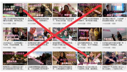 中国男网红调戏伊朗女生被判鞭刑