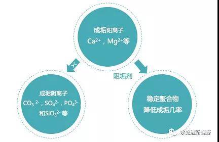 贸易分散效应是什么