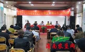 什么是贸易物业公司