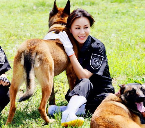 第一次知道警犬技术专业会发小狗