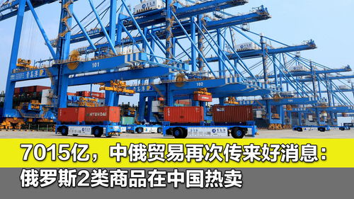 中俄贸易是什么港口类型