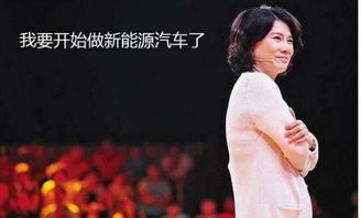 美国科技CEO演唱会搂抱女下属被拍