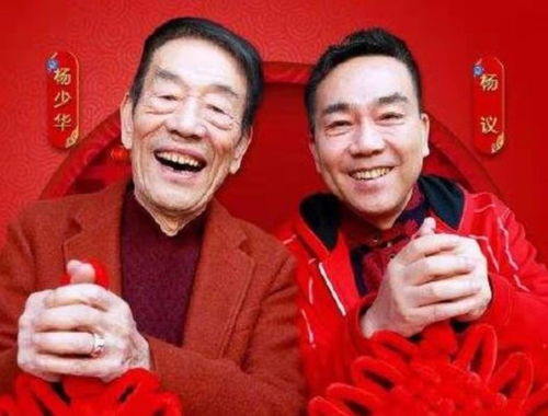 杨议称杨少华遗产四个儿子一人一亿