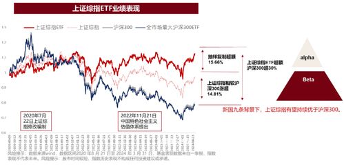 国际贸易cbms指什么
