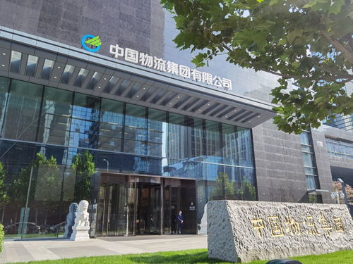 新央企中国雅江集团成立