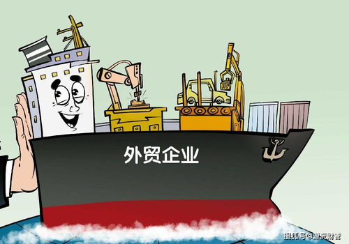 做贸易公司注意什么