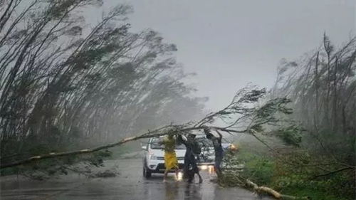 台风下飞机如纸片摇曳“漂移”落地