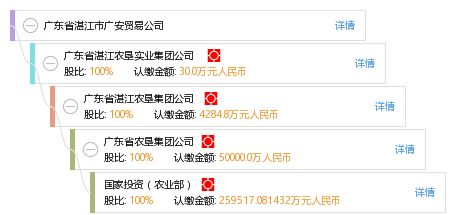 湛江有什么贸易公司