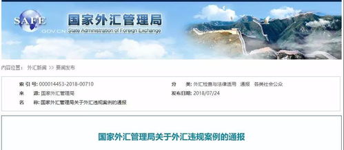 什么是虚假转口贸易