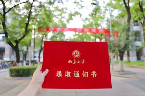 教育局回应广告混进录取通知书