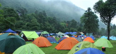 全家露营遇山洪 妻子和一孩子被冲走