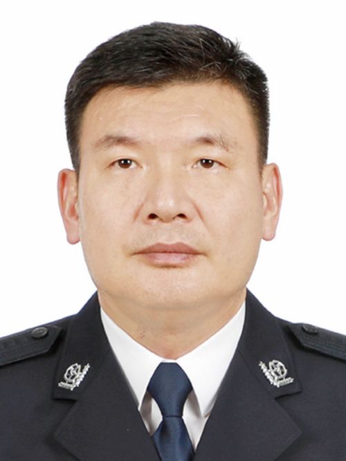 凌志峰任公安部副部长