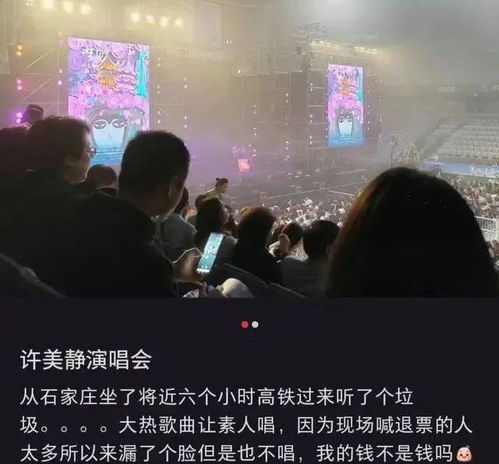 千万粉网红演唱会不露脸 主办方回应