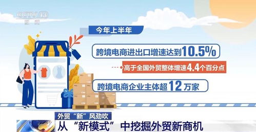 贸易粉是什么意思