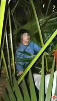 3岁男童从18层高楼坠下 奇迹生还