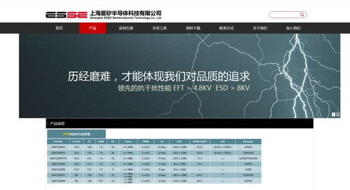 电子贸易掘金项目是什么