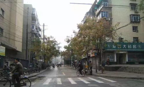 贸易广场后面巷子叫什么