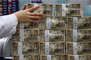 贸易在日本什么商品好卖