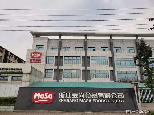 贸易公司干点什么好