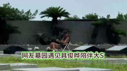 网友墓园遇见具俊晔陪伴大S