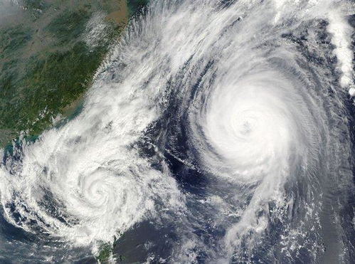 台风竹节草在上海沿海二次登陆