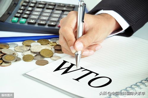 贸易组织指的什么