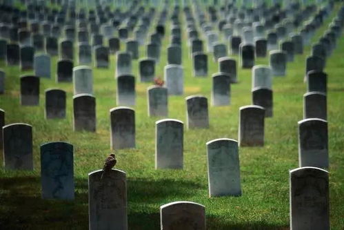 西班牙一小镇禁止居民死亡