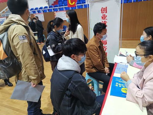国际贸易对口学什么