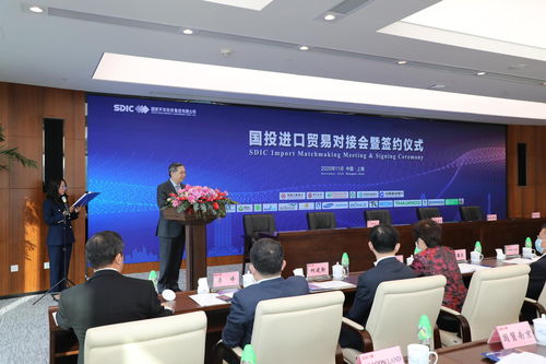 国投贸易是什么意思