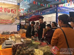 边境贸易卖什么好