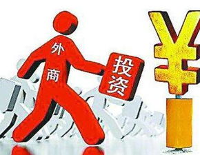 贸易投资是什么公司吗