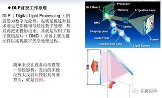 dlp贸易是什么意思