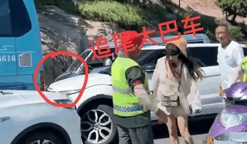 警方回应女司机景区逆行顶撞交警