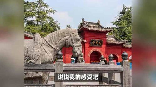 洛阳白马寺僧人顶着38度高温种地