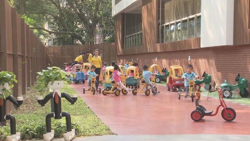 公办幼儿园教师工资纳入财政保障