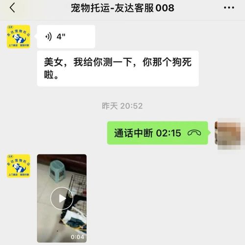 点评区误传女性不雅照 平台称不能删