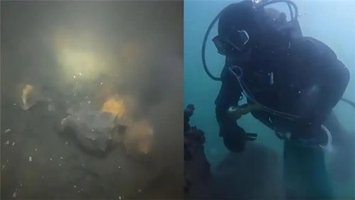 青岛海螺大爆发 潜水员3小时赚3500