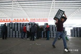 边境贸易专业是什么