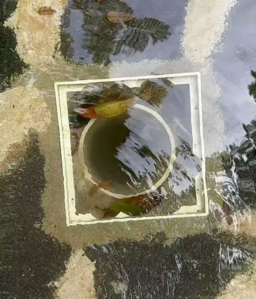夺命14分钟 6岁女童死于酒店戏水池