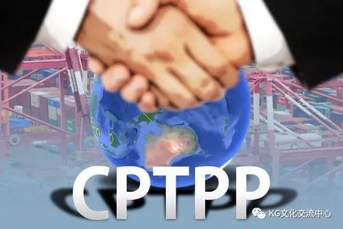 贸易cpt是什么意思