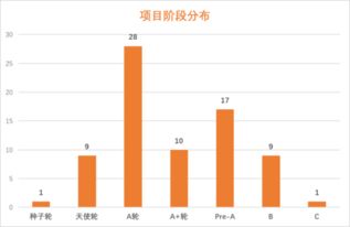 贸易流水真实项目是什么