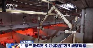 猪肉大涨大跌 猪企开始给猪减肥了