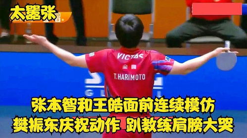 张本智和 谁教你的庆祝动作