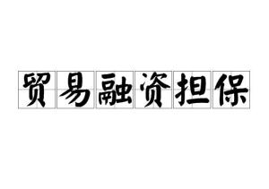 贸易类融资担保包括什么